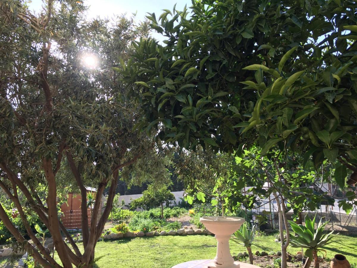 B&B Villa Magna Grecia Lazzaro Εξωτερικό φωτογραφία
